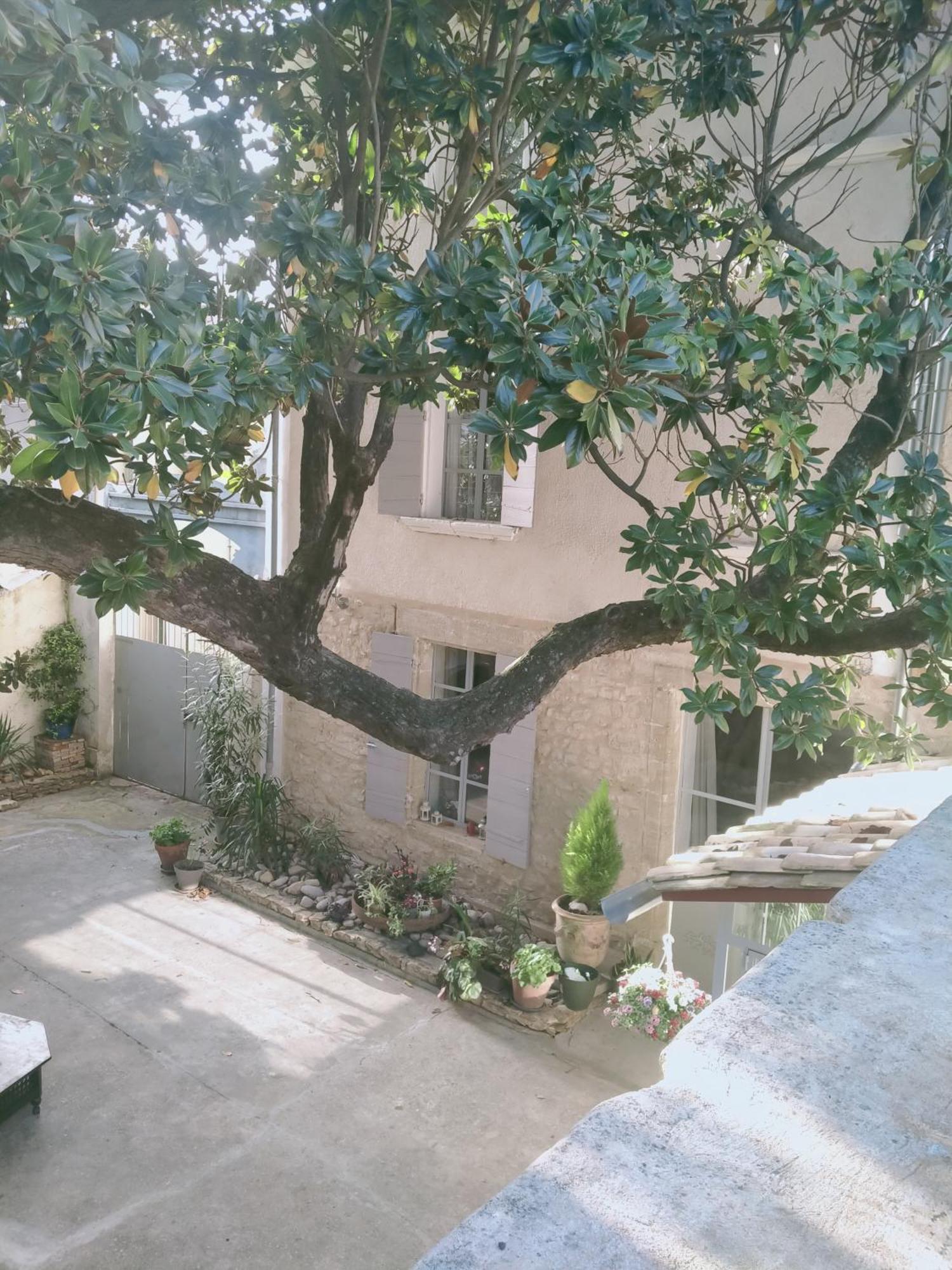 Chambres D'Hotes L'Atrium 오랑주 외부 사진
